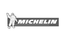 Logo Michelin