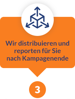 Advertorial buchen: Schritt 3 Distribution