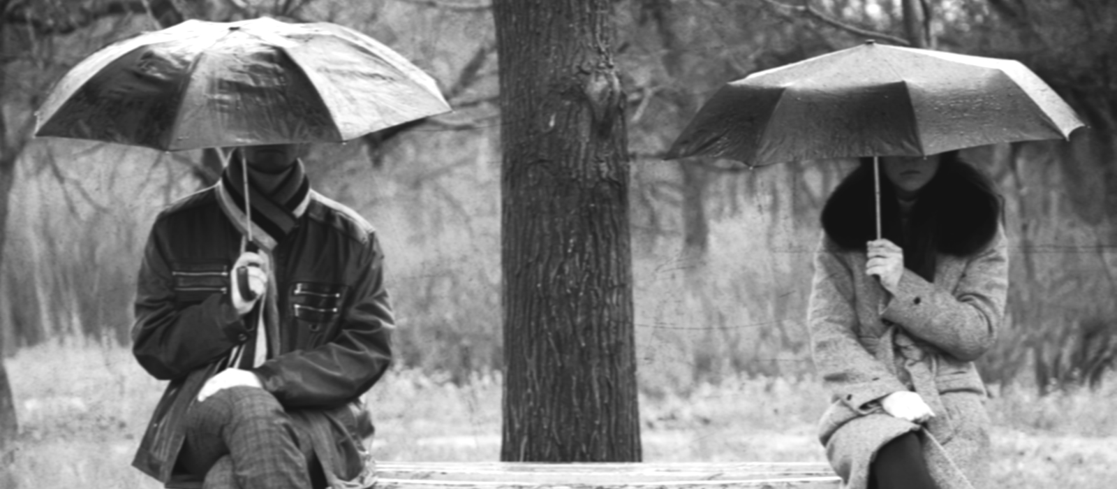 So wie ein Schirm bei Regenwetter bewahrt die richtige Social-Media-Betreuung ein Unternehmen vor einem Shitstorm im Netz.